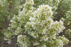 DSCN3152_resize