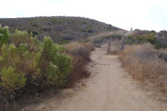 DSCN3154_resize