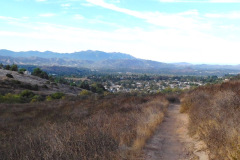 DSCN3164_resize