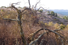 DSCN3167_resize