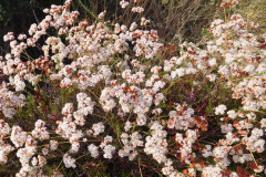 DSCN3170_resize