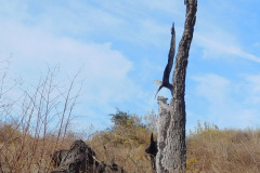 DSCN3172_resize