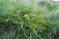 DSCN2038_resize