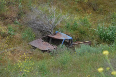 DSCN2044_resize