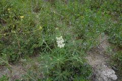 DSCN2049_resize