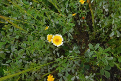 DSCN2051_resize
