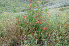 DSCN2053_resize