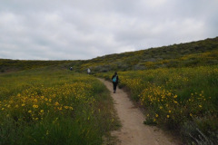 DSCN2056_resize