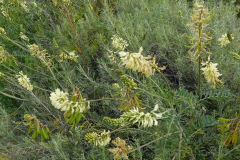 DSCN2057_resize