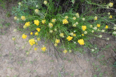 DSCN2058_resize