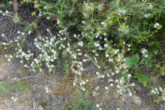 DSCN2059_resize