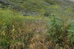 DSCN2065_resize