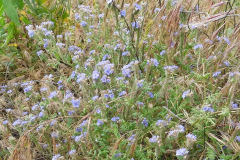 DSCN2066_resize