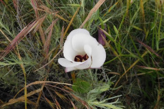 DSCN2067_resize