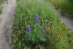 DSCN2073_resize