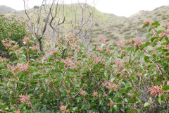 DSCN1393_resize