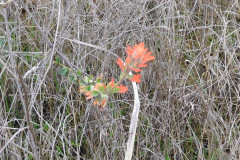 DSCN1396_resize