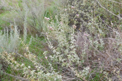 DSCN1400_resize