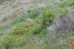 DSCN1402_resize