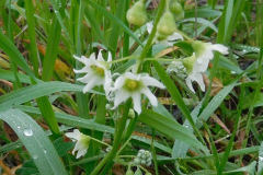 DSCN1403_resize