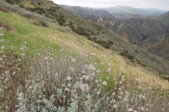 DSCN1407_resize