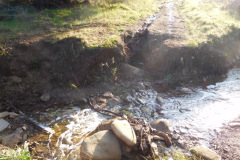 DSCN1554_resize