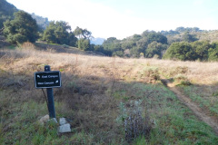 DSCN1555_resize
