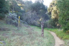 DSCN1556_resize