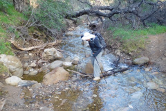 DSCN1557_resize