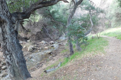 DSCN1558_resize