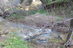 DSCN1560_resize