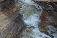 DSCN1561_resize
