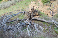 DSCN1562_resize