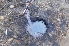 DSCN1564_resize