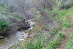 DSCN1565_resize