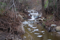 DSCN1567_resize