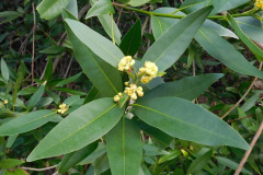 DSCN1569_resize