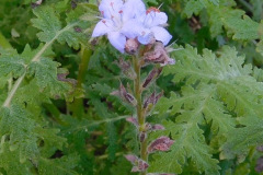 DSCN1570_resize