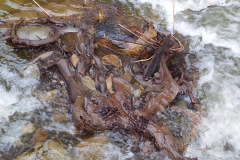 DSCN1573_resize