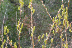 DSCN1579_resize