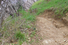 DSCN1580_resize
