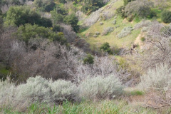 DSCN1582_resize