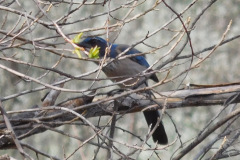 DSCN1588_resize