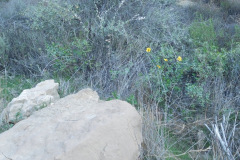 DSCN1345_resize
