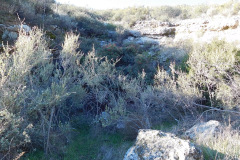 DSCN1351_resize