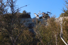 DSCN1352_resize
