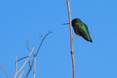 DSCN1357_resize