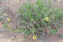 DSCN1372_resize