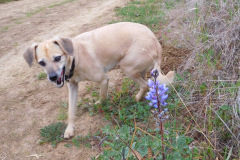 DSCN1373_resize