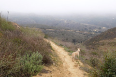 DSCN1375_resize